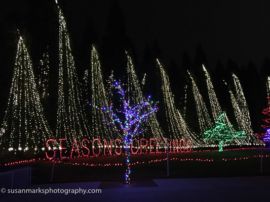 Holiday Greetings, Gene Coulon Park, Renton, WA, USA