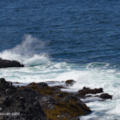 Wave crash, Depoe Bay, Oregon, USA