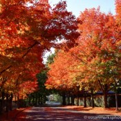 Gene Coulon Park, Renton, Washington, USA