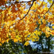 Gene Coulon Park, Renton, Washington, USA