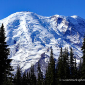 Sunrise, Mount Rainier, Washington, USA