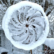 Snow Spiral, Renton Washington, USA