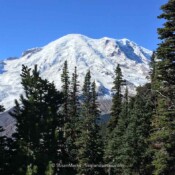 Last Day of Summer - Sunrise, Mt. Rainier, Washington USA