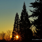 Winter Sunset, Renton, Washington, USA