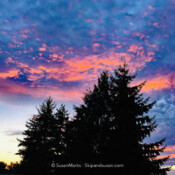 Backyard Sunset, Renton, Washington, USA
