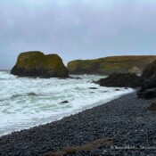 Yaquina Head Tide Pools, Newport Oregon, USA