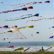 Kites! Ocean Shores, Washington USA